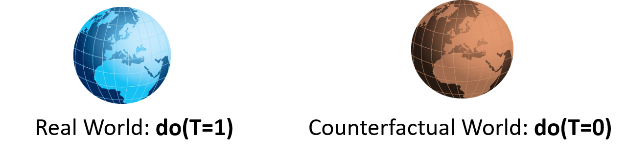 真实与反事实世界