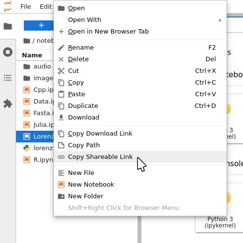 The Copy Shareable Link option in the context menu of a file. Copy Shareable Link is the last entry on the list.