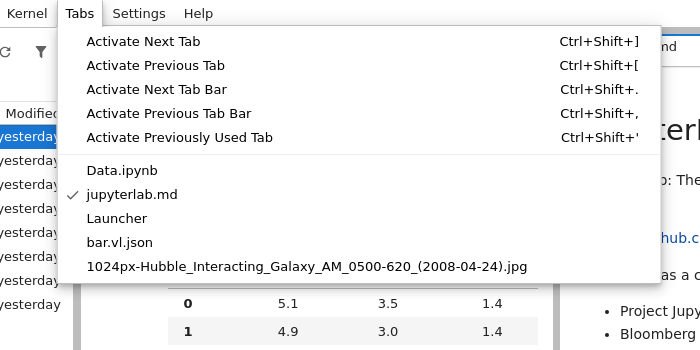 The tabs menu in JupyterLab with a list of sample documents.
