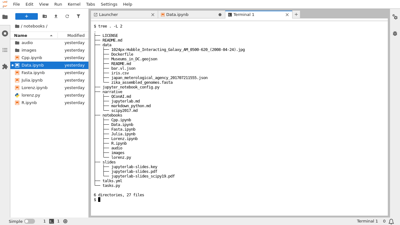 JupyterLab with an open terminal in the main document area.