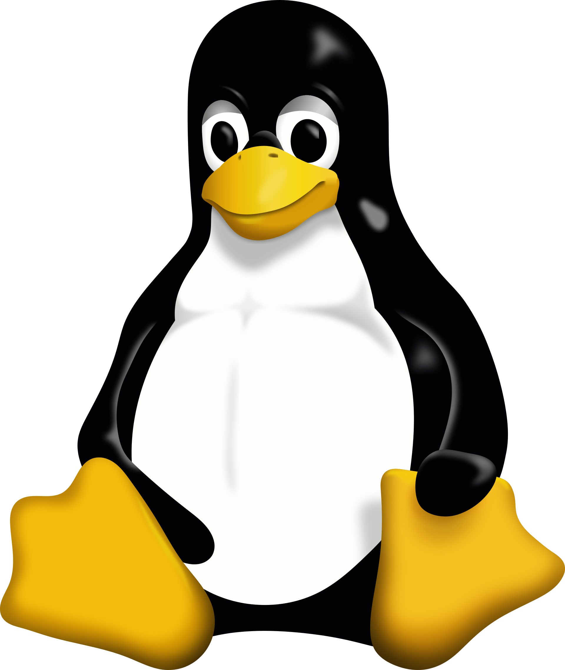 Linux 标志